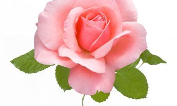 Αποχωρεί από την International Life η κ. Ματιάννα Γιογιού!