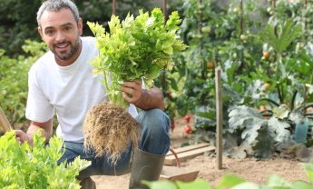 Γνωρίστε το νέο πρόγραμμα της DAÈS, "AGRONOMOS™"