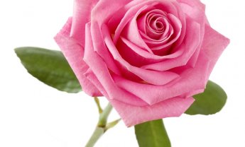 Με «σάπια υλικά», υποκρισία και παραπλάνηση πάνε να «χτίσουν» το 2016, αρκετοί διαμεσολαβούντες και ασφαλιστικές εταιρίες!