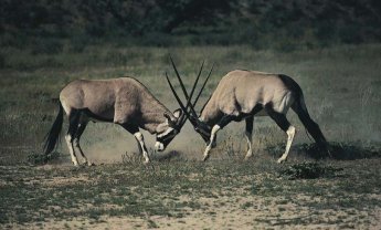 Allianz και ΑΧΑ ενδιαφερόμενοι των γενικών ασφαλειών της HSBC