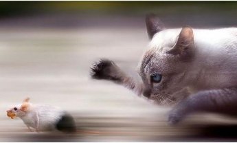 Παρανομίες ζητούν οι συνδικαλιστικές μειοψηφίες των διαμεσολαβητών σε βάρος των νομίμων