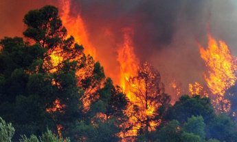Εκτός ελέγχου η πυρκαγιά στη Λακωνία. Εκκενώθηκαν χωριά