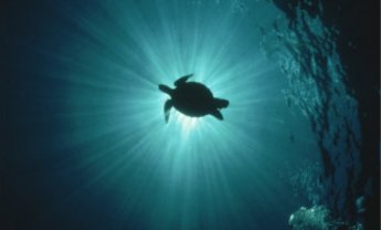 Προς τη χάραξη συντονισμένων θαλάσσιων στρατηγικών 