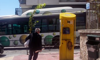 Αραρίσκοντας Ηλίας Προβόπουλος: Η λεμονίτσα  και το στυλιάρι