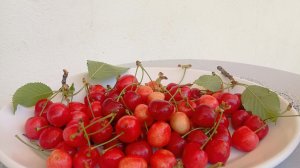 Ένα πιάτο με πατρινά κεράσια από τα χωριά του Τυμφρηστού