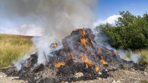 Όταν οι σύγχρονες κοινωνίες θεωρούν το μαλλί από τα πρόβατα σκουπίδι