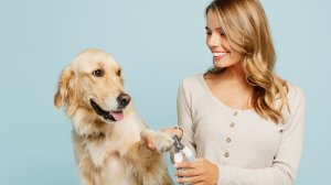 Κατοικίδια 24/7: Όταν η σταθερότητα των συνθηκών δεν είναι επιλογή, αλλά προϋπόθεση επιβίωσης