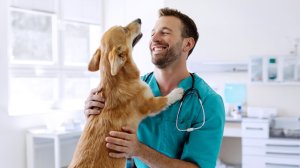 Η Hoolie Pet Insurance επαναπροσδιορίζει τα Employee Benefits στην Ελλάδα