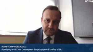 Κ. Κόλλιας (ΟΕΕ): Πρόταση για ρήτρα 20ετούς σταθερού φορολογικού καθεστώτος για την επαγγελματική ασφάλιση