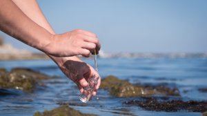 Δημιουργήστε νέα όρια της αγοράς | Βγείτε στον ωκεανό, μη μένετε στο «λίγο νερό» - Διαλέξτε γαλάζιο ωκεανό και όχι σταγόνα σταγόνα…