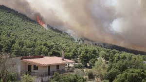 10 βασικές συμβουλές για προστασία μετά από πυρκαγιά