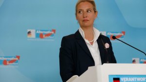 H ακτινογραφία των άκρων στη Γερμανία - Ανησυχία για την πρώτη θέση του AfD