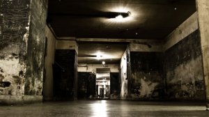 Μόνο μυρίζοντας γιασεμί: Το ντοκιμαντέρ για το Χώρο Ιστορικής Μνήμης στο κτήριο της Εθνικής Ασφαλιστικής