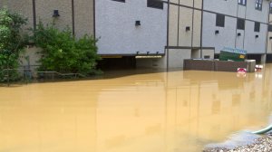 ΗΠΑ: Διαβάστε πώς συνεργάζεται το κράτος με τις εταιρίες για την κάλυψη από φυσικές καταστροφές