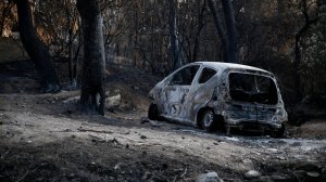 Η παροχή «Πυρκαγιά από Δάσος» περιλαμβάνεται μέσα στα συμβόλαια οχημάτων;