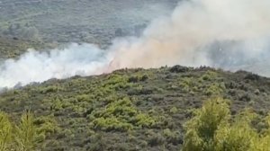 ΤΩΡΑ Φωτιά στην Σταμάτα