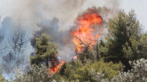 Πυρκαγιά εκδηλώθηκε στον Σχινιά Αττικής