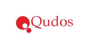 Σε εκκαθάριση η Qudos!