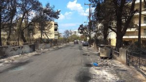 Μάτι-εισαγγελικό πόρισμα: Σωρεία παραλείψεων και έλλειψη συντονισμού