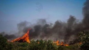 Πολύ υψηλός κίνδυνος πυρκαγιάς τη Δευτέρα