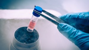 Βλαστοκύτταρα, νέοι ορίζοντες για την Ιατρική