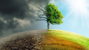 Η κλιματική αλλαγή ο μεγαλύτερος κίνδυνος για την ανάπτυξη των επιχειρήσεων λένε οι CEOs