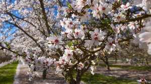 508.727 άνεργοι ψάχνουν για δουλειά πάνω από 12 μήνες αλλά «γυρίζουν την πλάτη» στους ασφαλιστές!