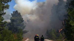 Φωτιά καίει δασική έκταση στη Κασσάνδρα Χαλκιδικής!