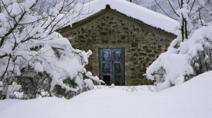 Αραρίσκοντας Ηλίας Προβόπουλος: Όταν η καραντίνα λεγόταν Χειμώνας