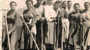 Αραρίσκοντας Ηλίας Προβόπουλος: Τα κορίτσια που ανέστησαν την Ελλάδα