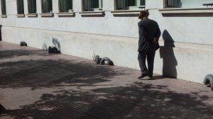 Αραρίσκοντας Ηλίας Προβόπουλος: Όταν μας ακολουθεί μια σκιά