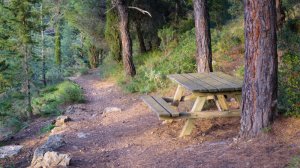 Ασθενείς βηματισμοί ανεπαρκούς Κτηματολογίου