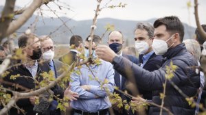 O Κυριάκος Μητσοτάκης για ΕΛΓΑ και ιδιωτική ασφάλιση των αγροτών