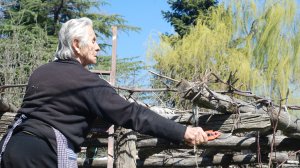 Αραρίσκοντας Ηλίας Προβόπουλος: Μάθημα κλαδέματος από τη μάνα