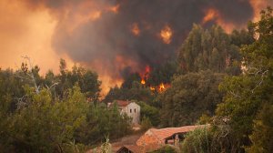 Η Πυρκαγιά από Δάσος περιλαμβάνεται στο συμβόλαιο του σπιτιού;