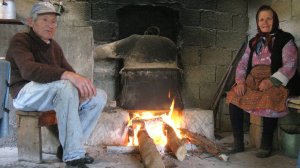 Αραρίσκοντας Ηλίας Προβόπουλος: Τσίπουρο, το νέκταρ του Νοέμβρη