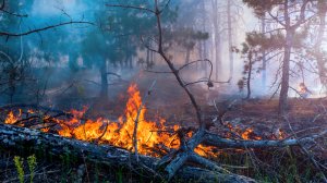Πυρκαγιές σε τρεις διαφορετικές εστίες στην Χερσόνησο Κρήτης