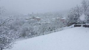 Κάλαντα Πρωτοχρονιάς από το Τριγωνικό Κοζάνης
