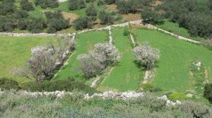 Αραρίσκοντας Ηλίας Προβόπουλος: Καλό μήνα Μάρτιο να έχουμε όλοι