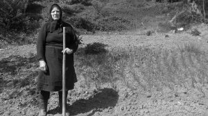 Αραρίσκοντας Ηλίας Προβόπουλος: Αυτοί που δεν φοβήθηκαν την πείνα