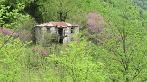 Αραρίσκοντας Ηλίας Προβόπουλος: Οι πατλιές που ζουν τα αηδόνια