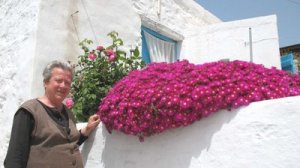 Αραρίσκοντας Ηλίας Προβόπουλος: Ένα σύννεφο ροζ μεταξάκια