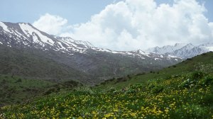 Αραρίσκοντας Ηλίας Προβόπουλος: Κυνηγώντας άγριες νένες και μανιτάρια στο Γράμμο