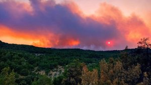 Αραρίσκοντας Ηλίας Προβόπουλος: Σαν να βούλιαζε την κιβωτό ο Νώε...