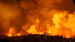 Στα 6 εκατ. ευρώ υπολογίζονται οι αποζημιώσεις για τις δασικές πυρκαγιές του Ιουλίου, στην Αττική