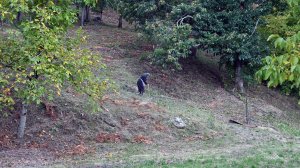 Αραρίσκοντας Ηλίας Προβόπουλος: Η αποταμίευση με τον παλιό τρόπο