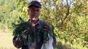 Αραρίσκοντας Ηλίας Προβόπουλος: Το αμπελάκι μας χάρισε φέτος ζοχούς