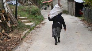Αραρίσκοντας Ηλίας Προβόπουλος: Ο Νοέμβριος έφερε την μοναξιά...