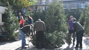 Τα έλατα των Χριστουγέννων του Ηλία Προβόπουλου