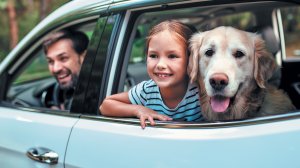 Autosafe: Νέα προϊόντα ασφάλισης οχημάτων από τη Euroins Ελλάδος